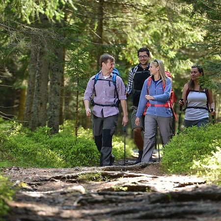 Roseggerhof Hotel Sankt Kathrein am Hauenstein Екстериор снимка