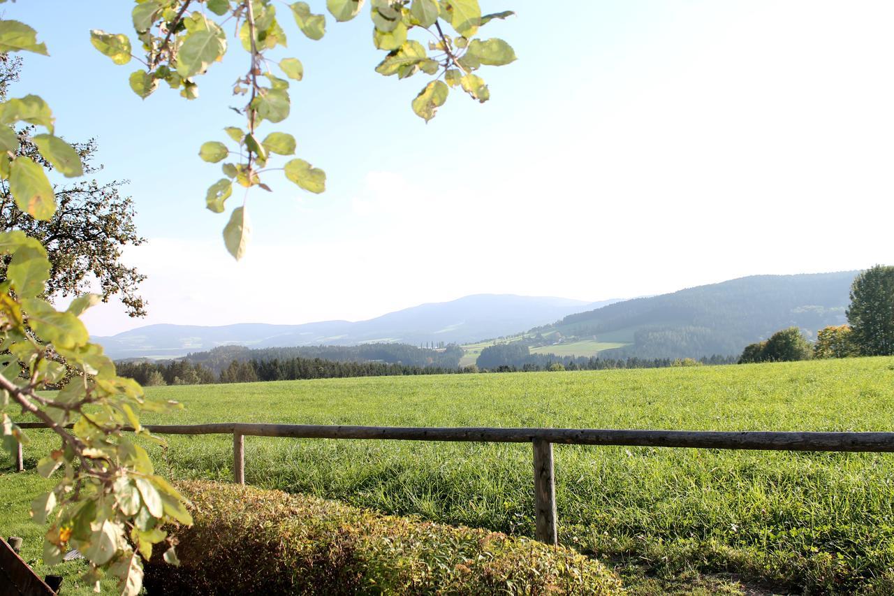 Roseggerhof Hotel Sankt Kathrein am Hauenstein Екстериор снимка