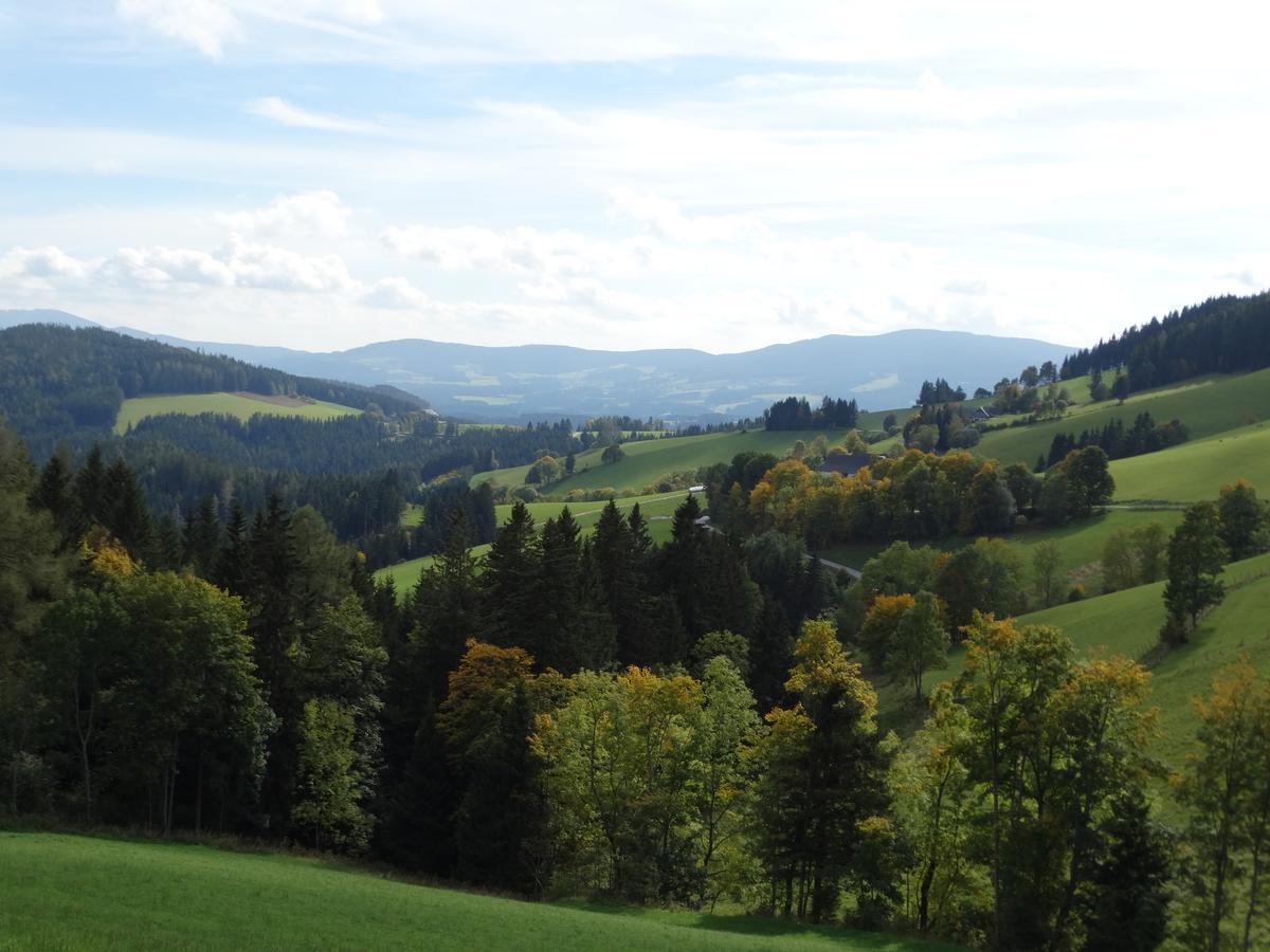Roseggerhof Hotel Sankt Kathrein am Hauenstein Екстериор снимка