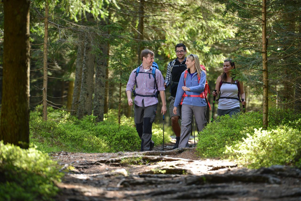 Roseggerhof Hotel Sankt Kathrein am Hauenstein Екстериор снимка